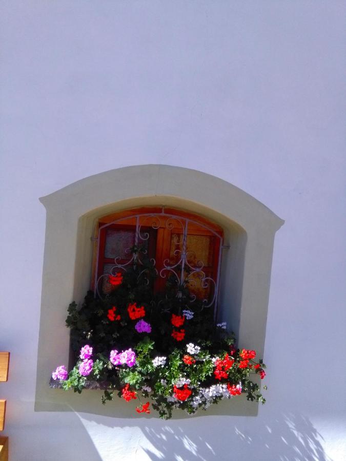 Achillea Bed & Breakfast Vigo di Fassa Exterior photo